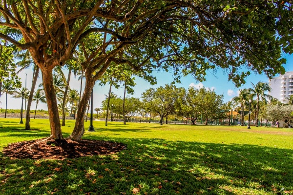 Welworth condo units Miami Beach image 5